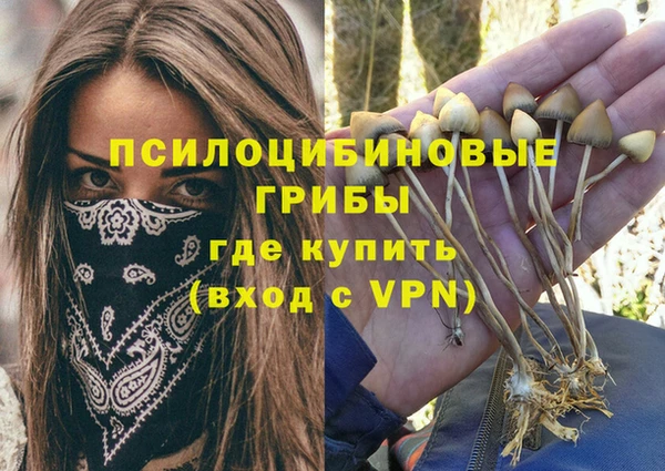 2c-b Баксан