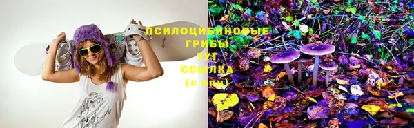 стафф Балабаново